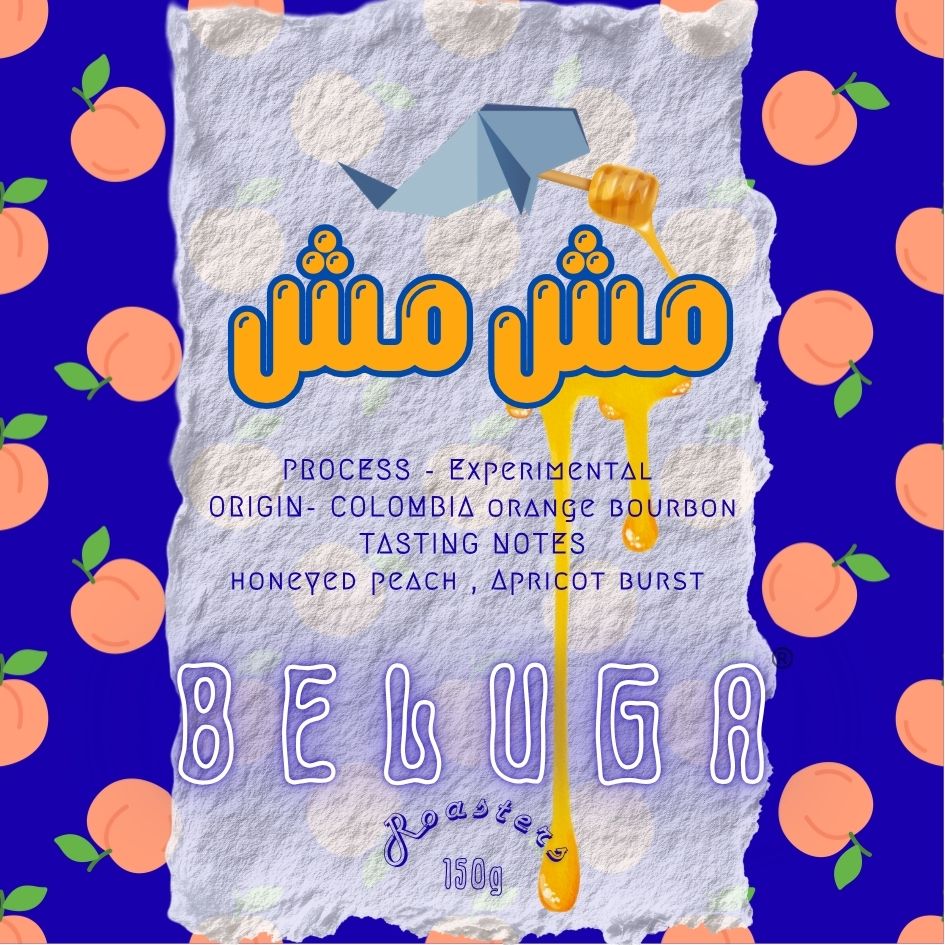 مش مش
